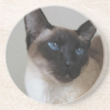 SIAMESE CAT COASTER