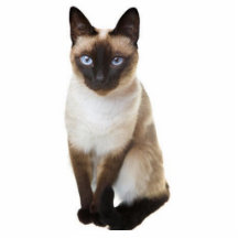 Siamese cat cut outs