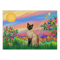 Siamese Cat - Day Star