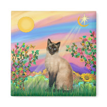 Siamese Cat - Day Star