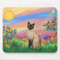 Siamese Cat - Day Star