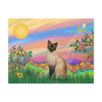 Siamese Cat - Day Star