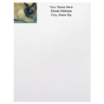 Siamese Cat Letterhead Design