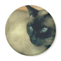 Siamese Cat Fridge Magnets
