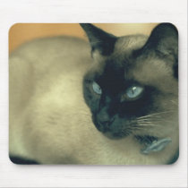 Siamese Cat Usepads