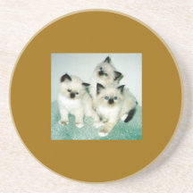 Siamese Cats Coasters