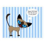 Siamese - Happy Birthday Cat Years - Postcard