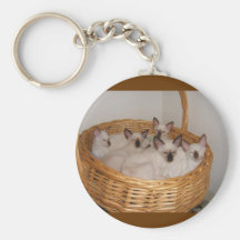 Siamese kittens keychains