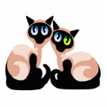 Siamese Love