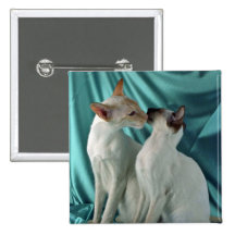 Siamese, red point & seal point button