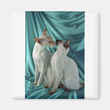 Siamese, red point & seal point magnet