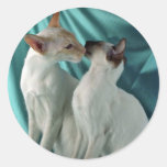 Siamese, red point & seal point round stickers