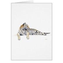 Siberian / Bengal Tiger Card