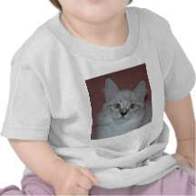 Siberian Colorpoint Kitten on products Tee Shirts