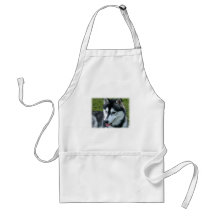 Siberian Husky Apron