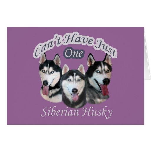 Siberian Husky Can't Have Just One Cards