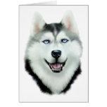 Siberian Husky Cards
