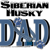 Siberian Husky DAD