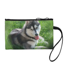 Siberian Husky Dog Coin Purse