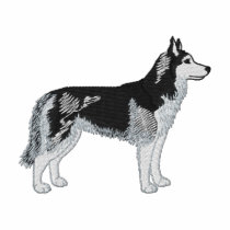 Siberian Husky