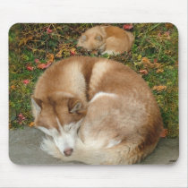 Siberian Husky & German Klein Spitz Pomeranian mousepads