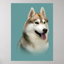 Siberian Husky Gorgeous Print