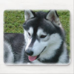 Siberian Husky Mouse Pad mousepads
