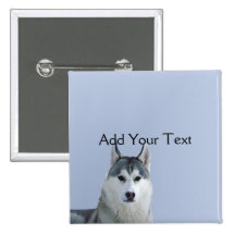 Siberian Husky on Blue Background Pinback Button