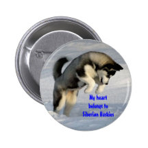 Siberian husky pin