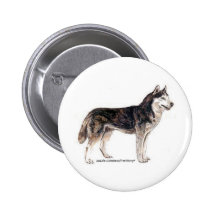 Siberian Husky! Pinback Buttons