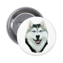 Siberian Husky Pins