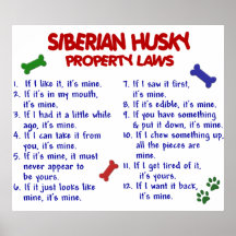 SIBERIAN HUSKY PL2 PRINT