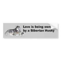 Siberian Husky & Puppies Bumper Sticker