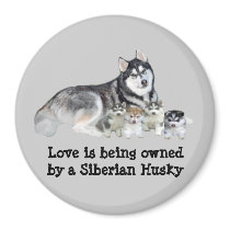 Siberian Husky & Puppies Magnet
