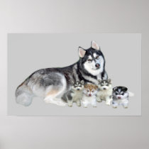 Siberian Husky & Puppies Print