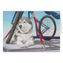 Siberian Husky Ready To Race Card
