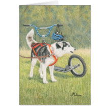 Siberian Husky Ready To Race Greeting Card