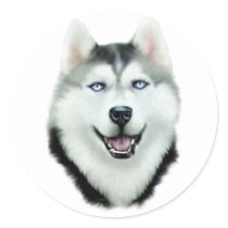 Siberian Husky Round Stickers