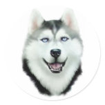 Siberian Husky stickers