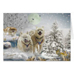Siberian Husky Winter Scene Cards