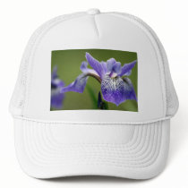 Siberian Iris Baseball Cap Mesh Hat
