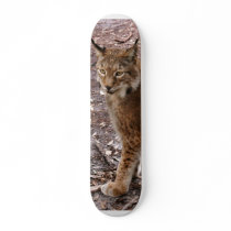 siberian lynx 023 Skateboard
