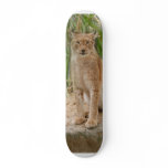 siberian lynx 040 skateboards