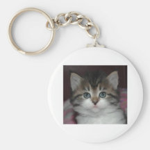 Siberian Tabby/White Kitten Key Chains