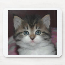 Siberian Tabby/White Kitten Mouse Mats