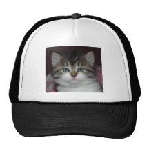 Siberian Tabby/White Kitten Trucker Hat