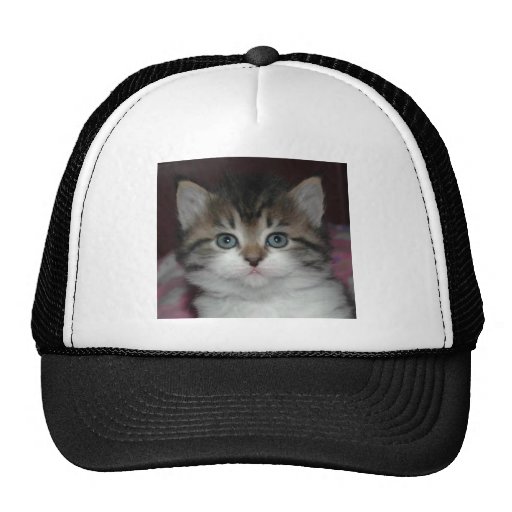 Siberian Tabby/White Kitten Trucker Hat