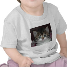 Siberian Tabby/White Kitten Tshirts