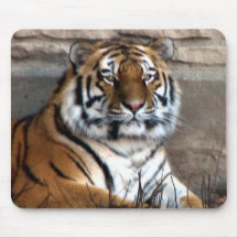 Siberian Tiger Mousepad