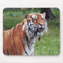 Siberian tiger mousepad